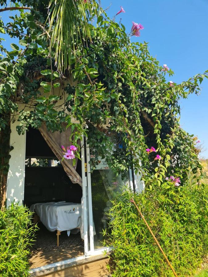 אטליסקו Hotel Villas Mariposas מראה חיצוני תמונה